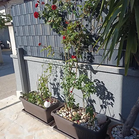 Apartment Apartman Lara Zadar